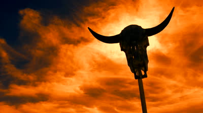 stock-footage-time-lapse-cow-skull-propped-on-stick-creates-eerie-spooky-creepy-visual-as-fiery-sky-seeps